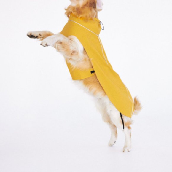 ZARA PET COLLECTION RAINCOAT - Picture 1 of 13